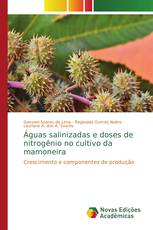 Águas salinizadas e doses de nitrogênio no cultivo da mamoneira