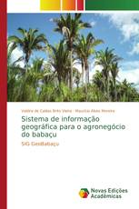 Sistema de informação geográfica para o agronegócio do babaçu