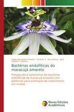 Bactérias endofíticas do maracujá amarelo