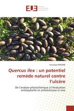 Quercus ilex : un potentiel remède naturel contre l’ulcère