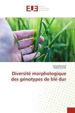 Diversité morphologique des génotypes de blé dur