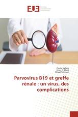 Parvovirus B19 et greffe rénale : un virus, des complications