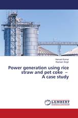 Power generation using rice straw and pet coke – A case study
