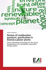 Review of combustion, pyrolysis, gasification in biomass power plants