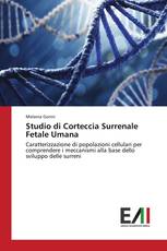 Studio di Corteccia Surrenale Fetale Umana