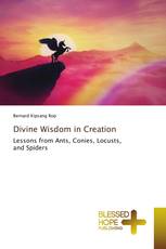 Divine Wisdom in Creation