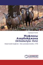 Муфлоны Азербайджана (Artiodactyla: Ovis)