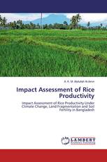 Impact Assessment of Rice Productivity