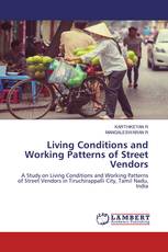 Living Conditions and Working Patterns of Street Vendors