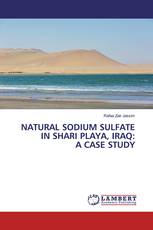 NATURAL SODIUM SULFATE IN SHARI PLAYA, IRAQ: A CASE STUDY