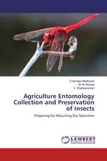 Agriculture Entomology Collection and Preservation of Insects