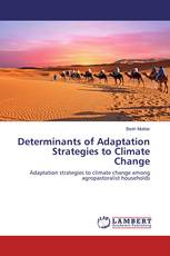 Determinants of Adaptation Strategies to Climate Change