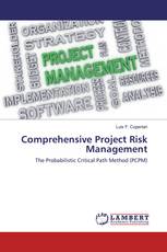 Comprehensive Project Risk Management