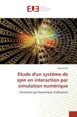 Etude d'un système de spin en interaction par simulation numérique