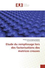 Etude du remplissage lors des factorisations des matrices creuses