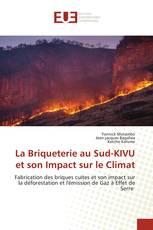 La Briqueterie au Sud-KIVU et son Impact sur le Climat