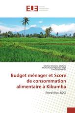 Budget ménager et Score de consommation alimentaire à Kibumba