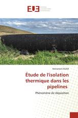 Étude de l'isolation thermique dans les pipelines