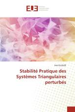 Stabilité Pratique des Systèmes Triangulaires perturbés