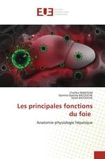 Les principales fonctions du foie