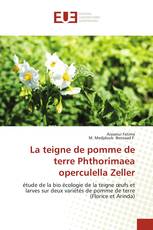 La teigne de pomme de terre Phthorimaea operculella Zeller