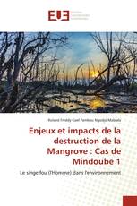 Enjeux et impacts de la destruction de la Mangrove : Cas de Mindoube 1