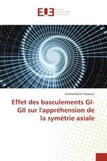 Effet des basculements GI-GII sur l'appréhension de la symétrie axiale