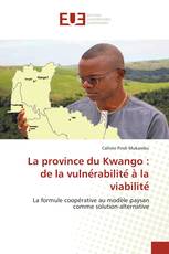 La province du Kwango : de la vulnérabilité à la viabilité