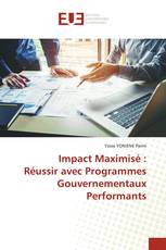 Impact Maximisé : Réussir avec Programmes Gouvernementaux Performants