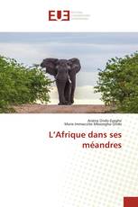 L’Afrique dans ses méandres