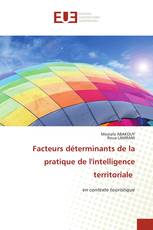Facteurs déterminants de la pratique de l'intelligence territoriale