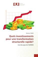 Quels investissements pour une transformation structurelle rapide?