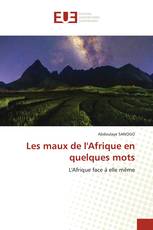 Les maux de l'Afrique en quelques mots