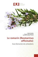 Le romarin (Rosmarinus officinalis):