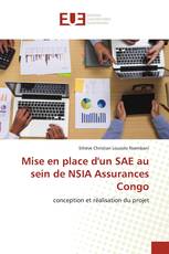 Mise en place d'un SAE au sein de NSIA Assurances Congo