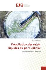 Dépollution des rejets liquides du port Dakhla: