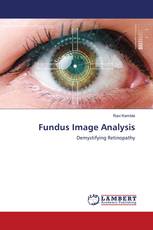 Fundus Image Analysis