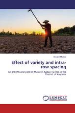 Effect of variety and intra-row spacing