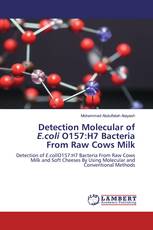 Detection Molecular of E.coli O157:H7 Bacteria From Raw Cows Milk