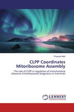 CLPP Coordinates Mitoribosome Assembly