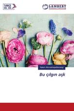 Bu çılgın aşk