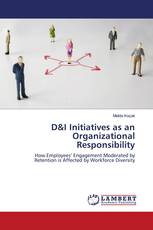 D&I Initiatives as an Organizational Responsibility