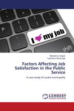 Factors Affecting Job Satisfaction in the Public Service