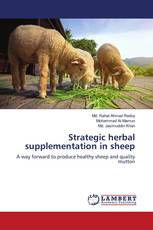 Strategic herbal supplementation in sheep