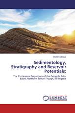 Sedimentology, Stratigraphy and Reservoir Potentials: