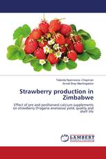 Strawberry production in Zimbabwe