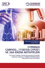 CYPRINUS CARPIO(L.,1758)'DA CYP2E1 VE 3A4 ENZİM AKTİVİTELERİ