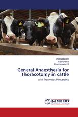 General Anaesthesia for Thoracotomy in cattle