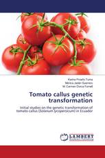 Tomato callus genetic transformation