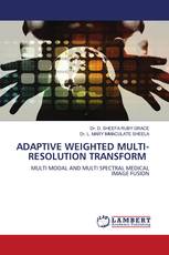 ADAPTIVE WEIGHTED MULTI-RESOLUTION TRANSFORM